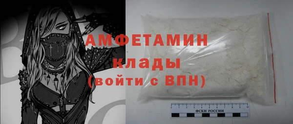 молекула духа Балахна
