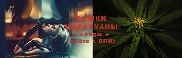 молекула духа Балахна