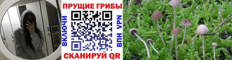 хочу наркоту  МЕГА рабочий сайт  Галлюциногенные грибы Psilocybe  Туран 